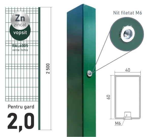 Stilp zincat ЕСО 20 (60х40x1,2) L-2,5m vopsit RAL6005 - image 1
