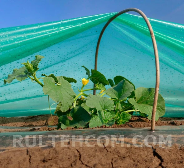 Пленка полиэтиленовая светостабилизированная РБ (100 мкм) Н-6м L-50м - image 3