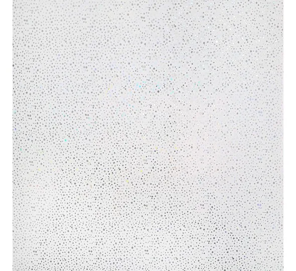 Вагонка ПВХ 250x7x5950мм - CH20 White - image 2