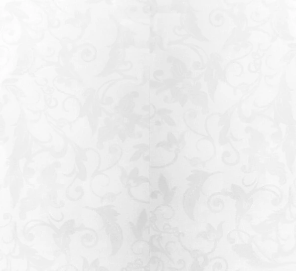 Вагонка ПВХ 250x8x6000мм - Флора - image 2