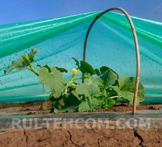 Пленка полиэтиленовая светостабилизированная РБ (100 мкм) Н-6м L-50м - image thumb 3