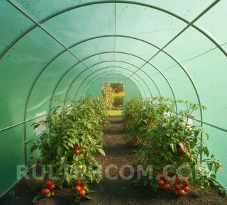 Пленка полиэтиленовая светостабилизированная РБ (120 мкм) Н-4м L-50м - image thumb 4