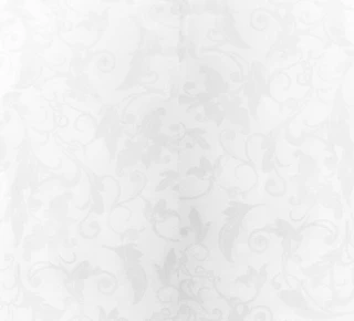 Вагонка ПВХ 250x8x6000мм - Флора - image thumb 2