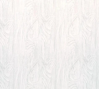 Вагонка ПВХ 250x8x6000мм - Дуб белый - image thumb 2